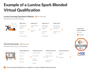 Example of a Lumina Spark Blended Virtual Qualification