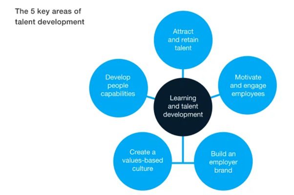 Investing in key areas of talent development