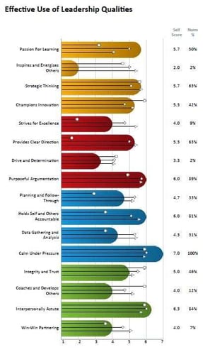 effective_use_of_leadership_qualities