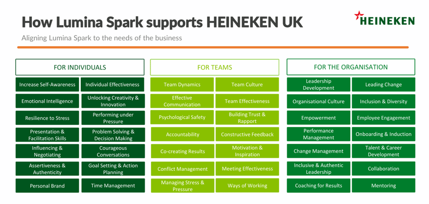 Heineken 9 inclusive practices