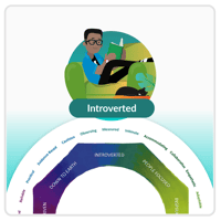 Introverted Mandala 2x - V1.0