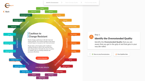journey-to-composure_e-learning-experience_step-1_identify-OE_selected-1024x576[1]
