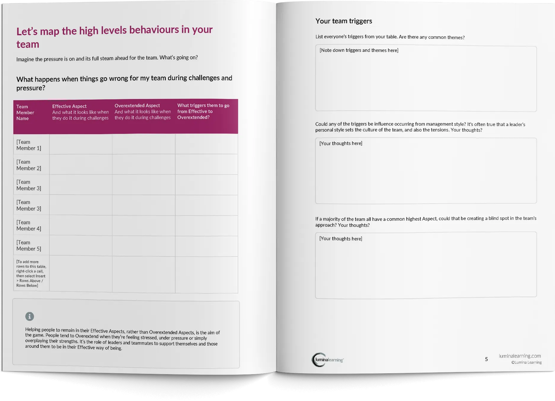 team-map-of-behaviours-mockup-1